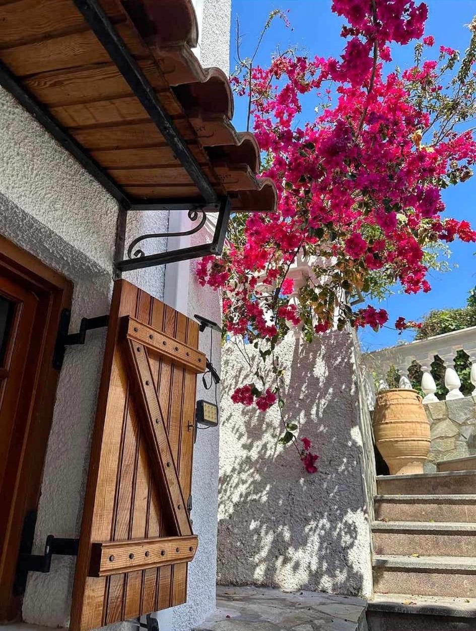 Poros TownArchontikon 1800アパートメント エクステリア 写真